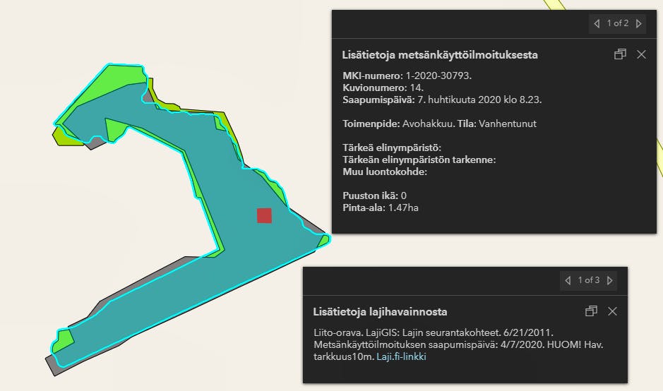 Hakkuut ja lajit -sivulla näkee nyt myös vanhemmat havainnot sekä MML:n aukot