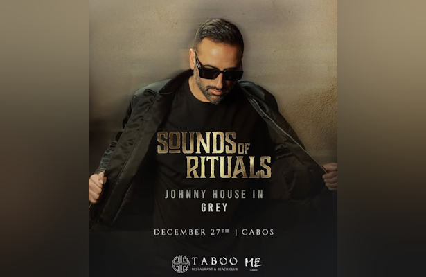 Johnny House In Grey