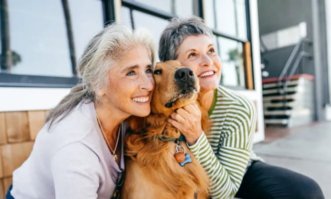 Two olden women hugging a Golden Retriever dog. 