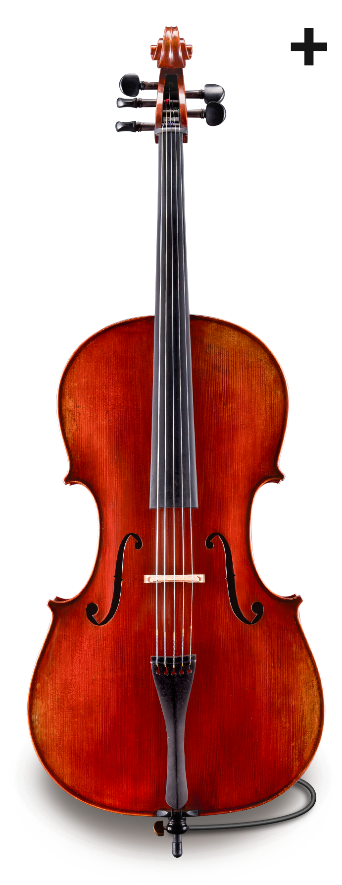 Eastman - Series Plus