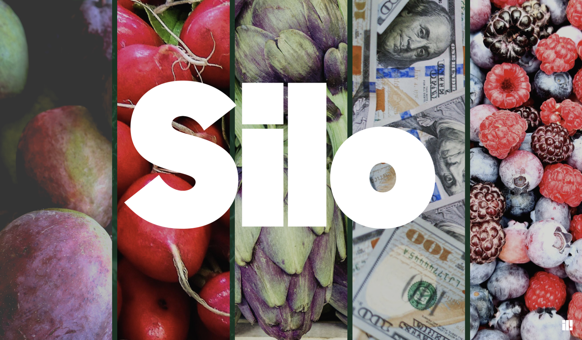 Why Silo’s Capital Solutions Make Sense for Your Produce Business