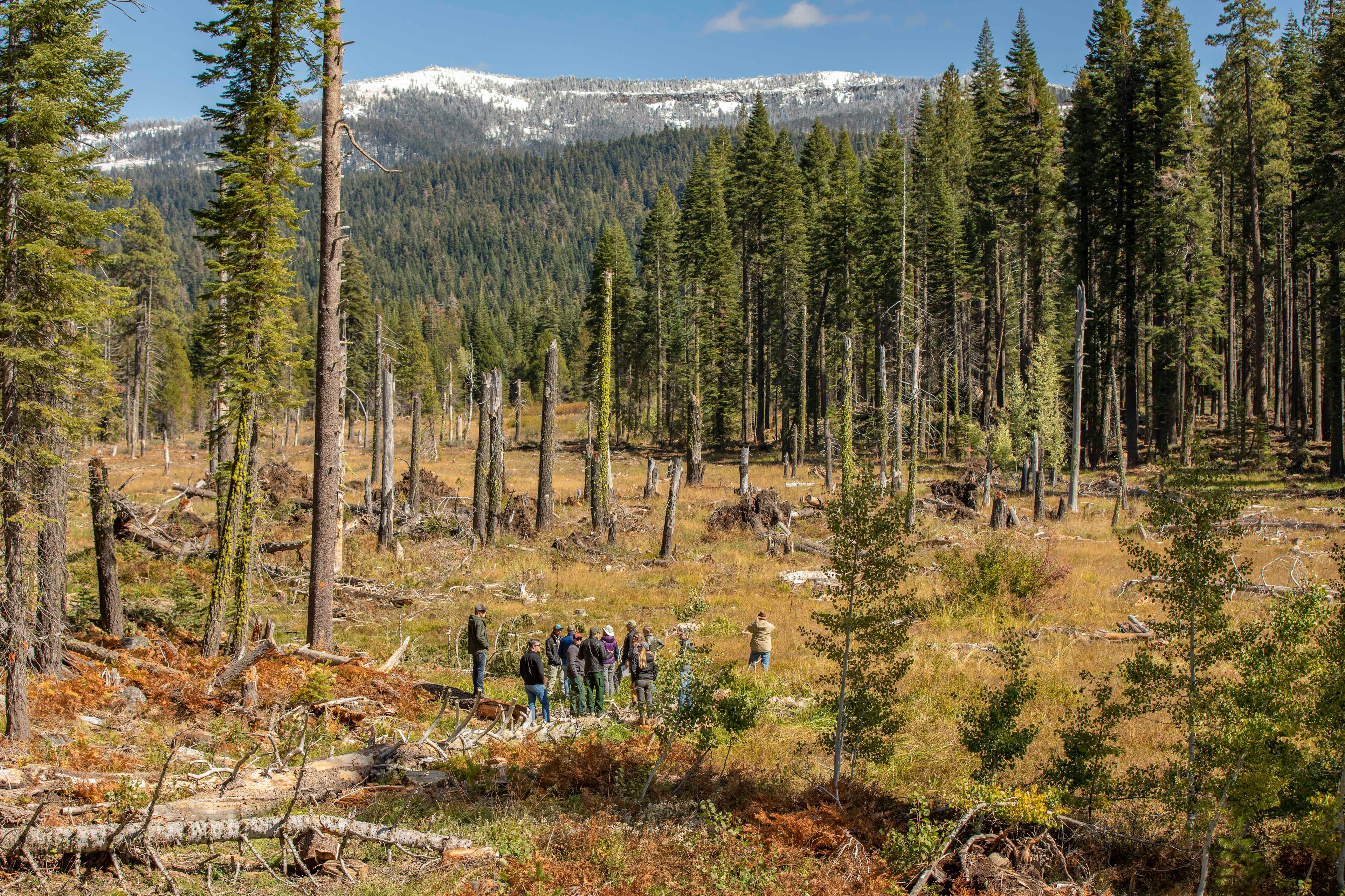 FMFRP Partners tour Exploring a meadow that was discovered after thinning