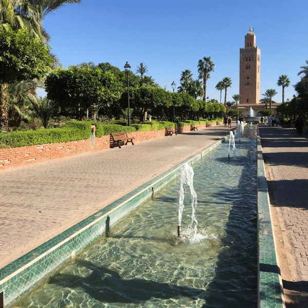 Live from Marrakech Morocco! Discover the famous Jemaa El-fna Square 's main gallery image
