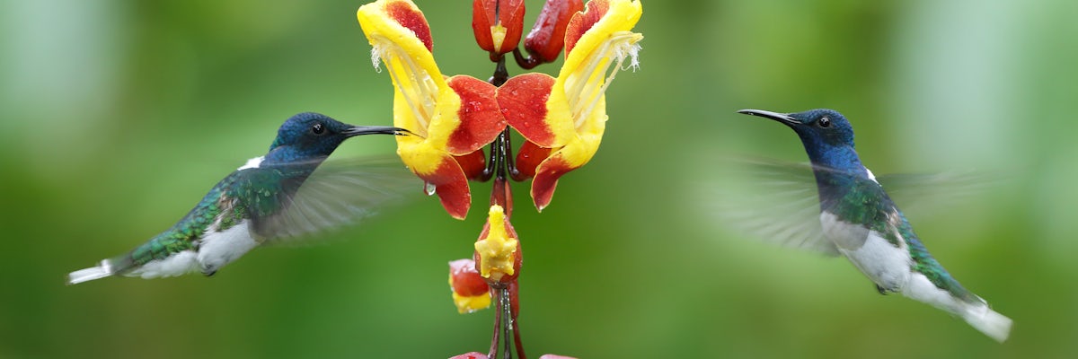 undefined's banner image