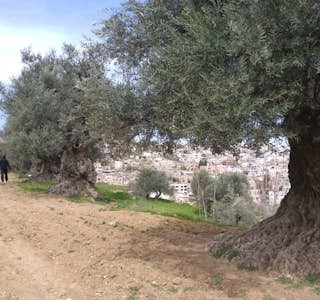 The West Bank and "Shrinking the Conflict"'s gallery image