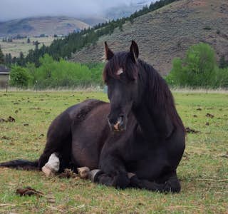 A Day at Dunrovin Ranch's gallery image