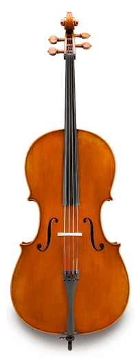 Eastman - Cello - VC502