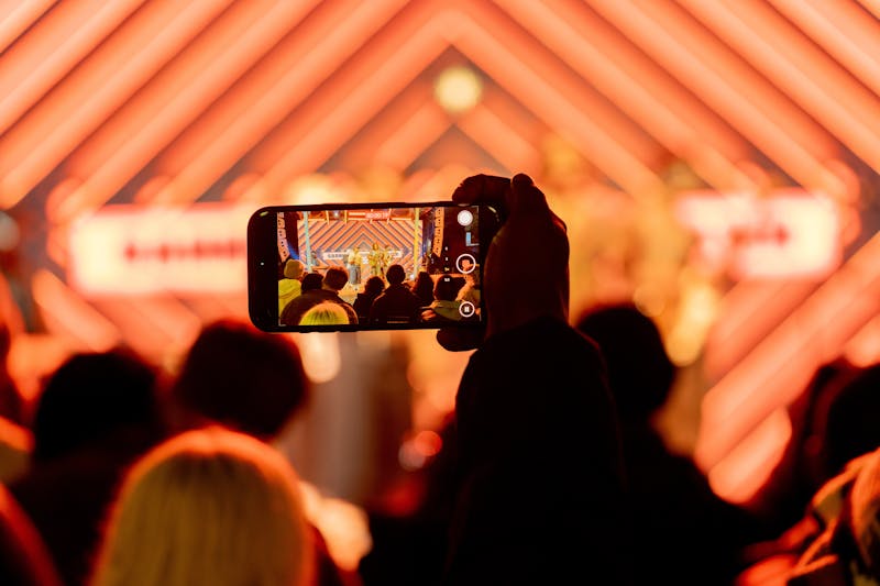 MTN Bushfire Festival Sparks Environmental Challenge for Youth Content Creators
