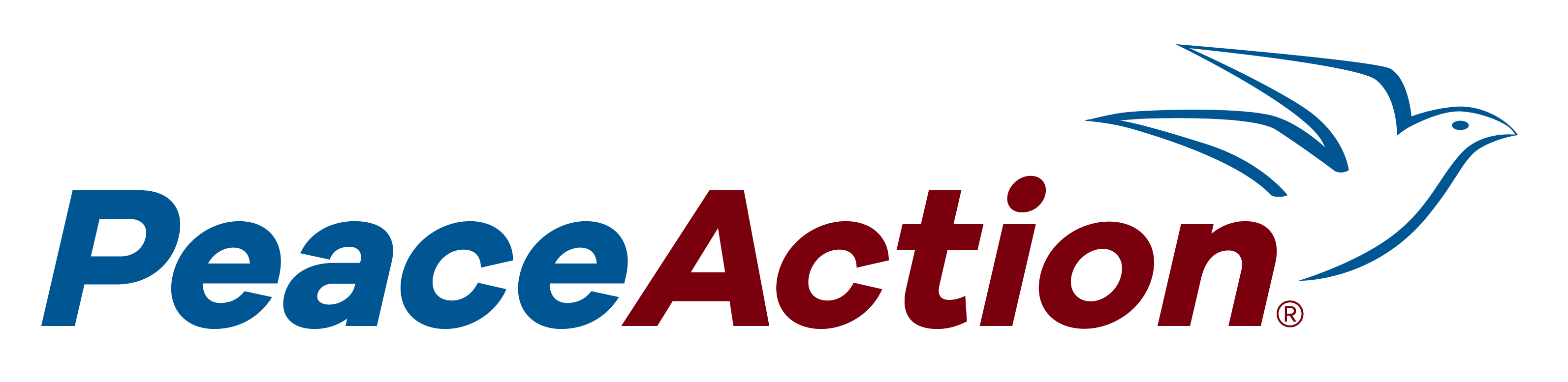 Peace Action