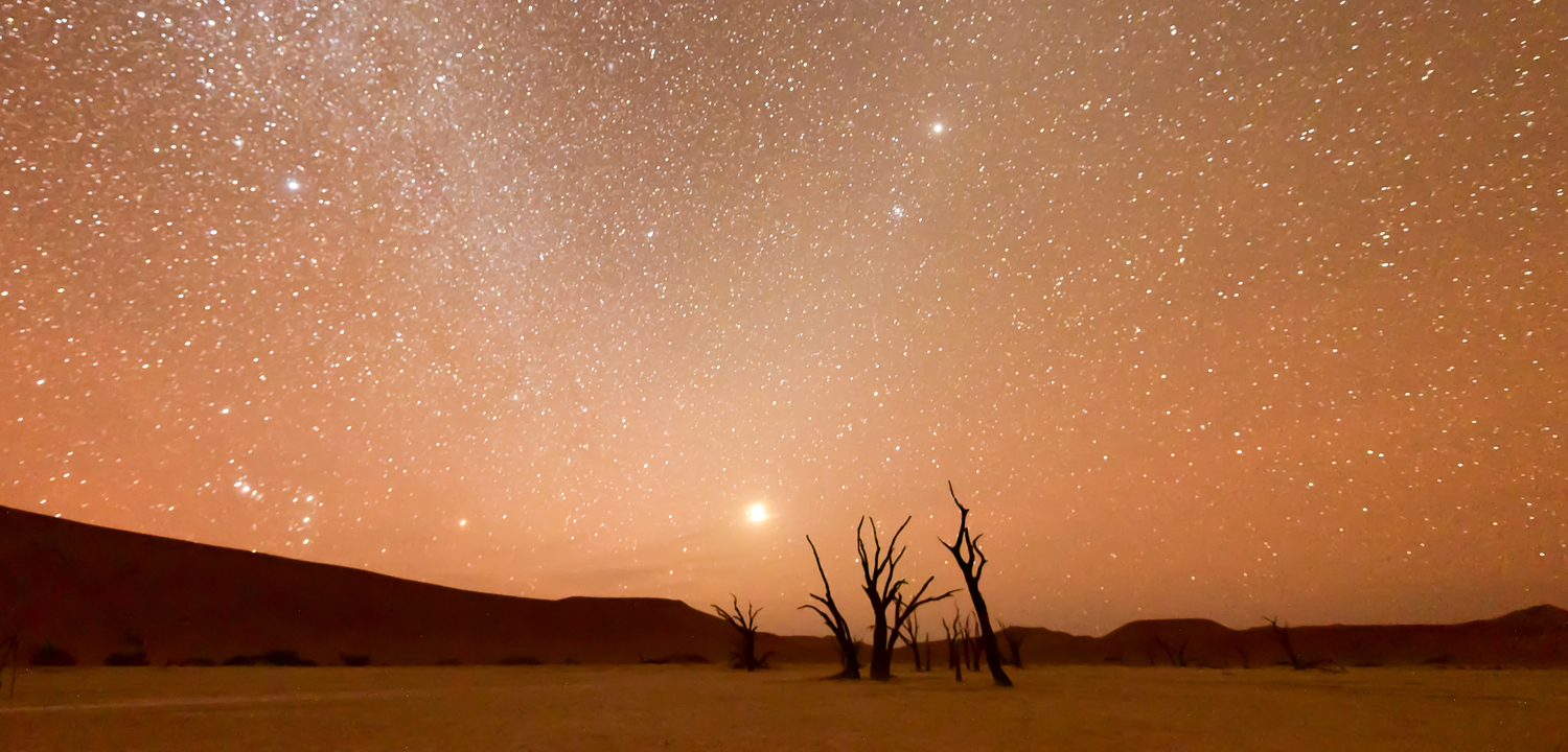 Cape and Namibia Adventure - 12 Days