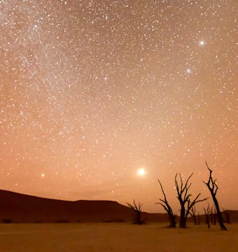 Cape and Namibia Adventure - 12 Days