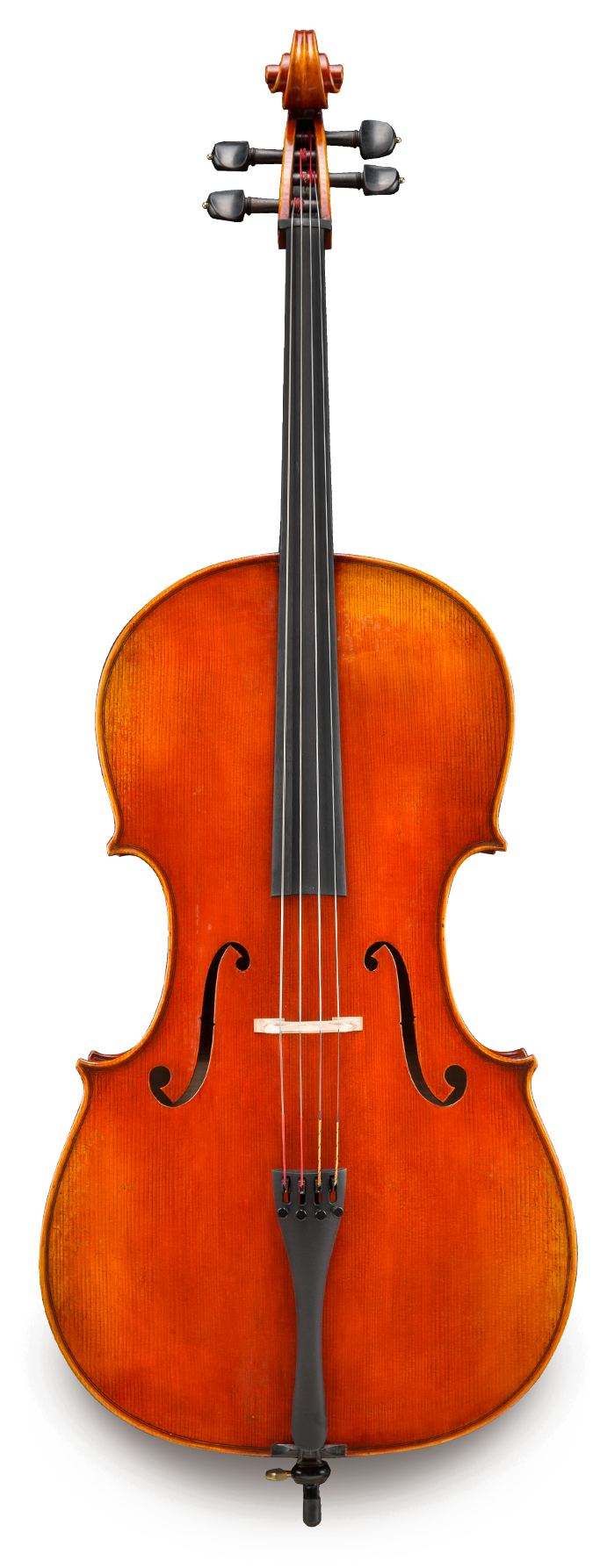 Eastman Cello Professional