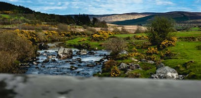 All About The Wicklow Way