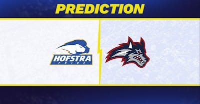 Hofstra vs. Stony Brook prediction: Hofstra favored to win men's college basketball matchup [1/15/2026]