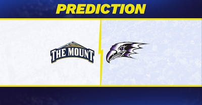 Mount St. Mary's vs. Niagara Prediction: Niagara Predicted to Win College Basketball Matchup [2/14/2025]