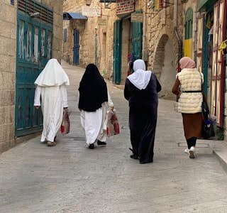 The West Bank and "Shrinking the Conflict"'s gallery image