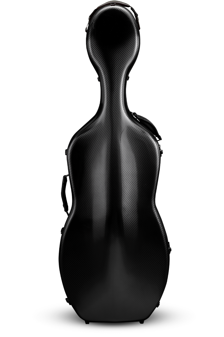 Eastman Cello Cases