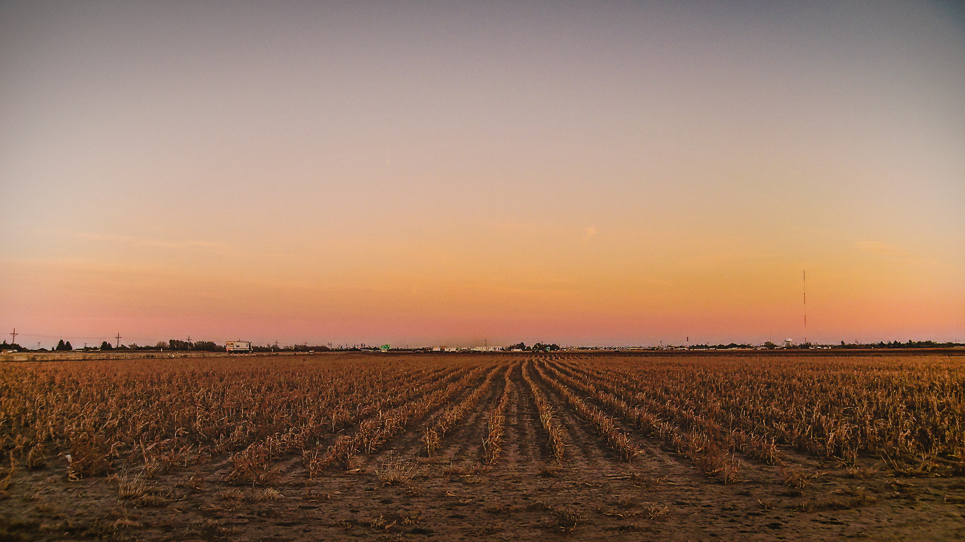 The Different Crops Grown In Texas