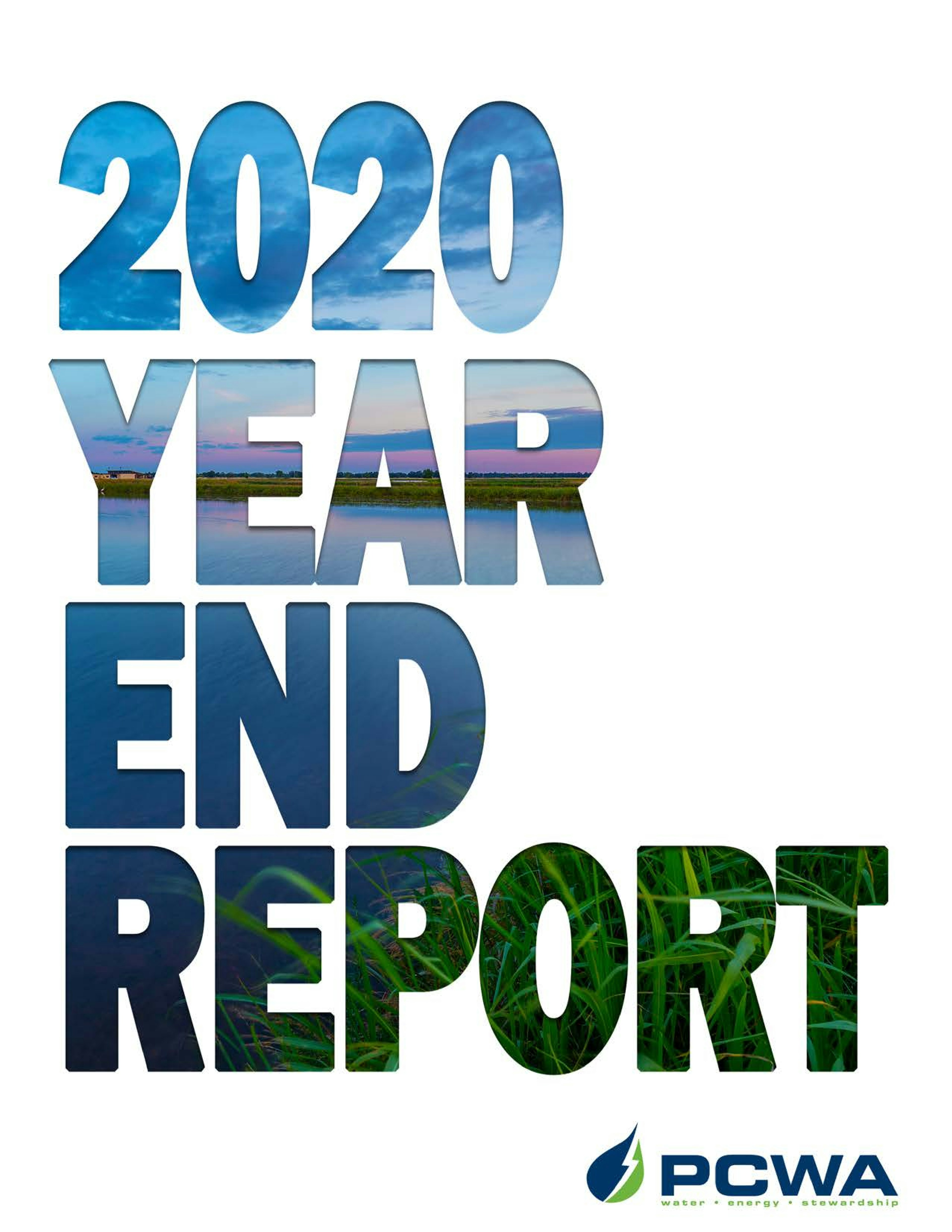 Thumbnail image and link for 2020 Year End Report publication