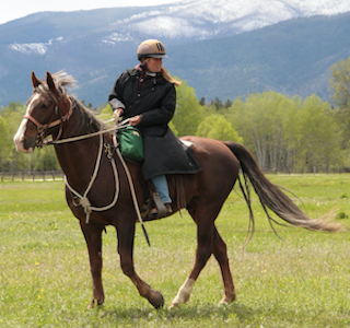 A Day at Dunrovin Ranch's gallery image