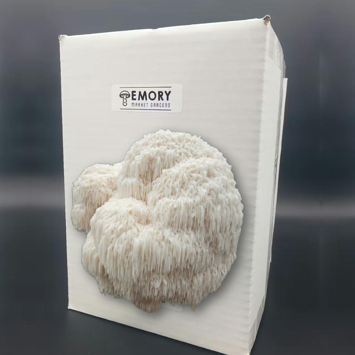 Lion's Mane Mushroom Grow Kit