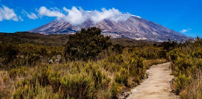 Training For Kilimanjaro