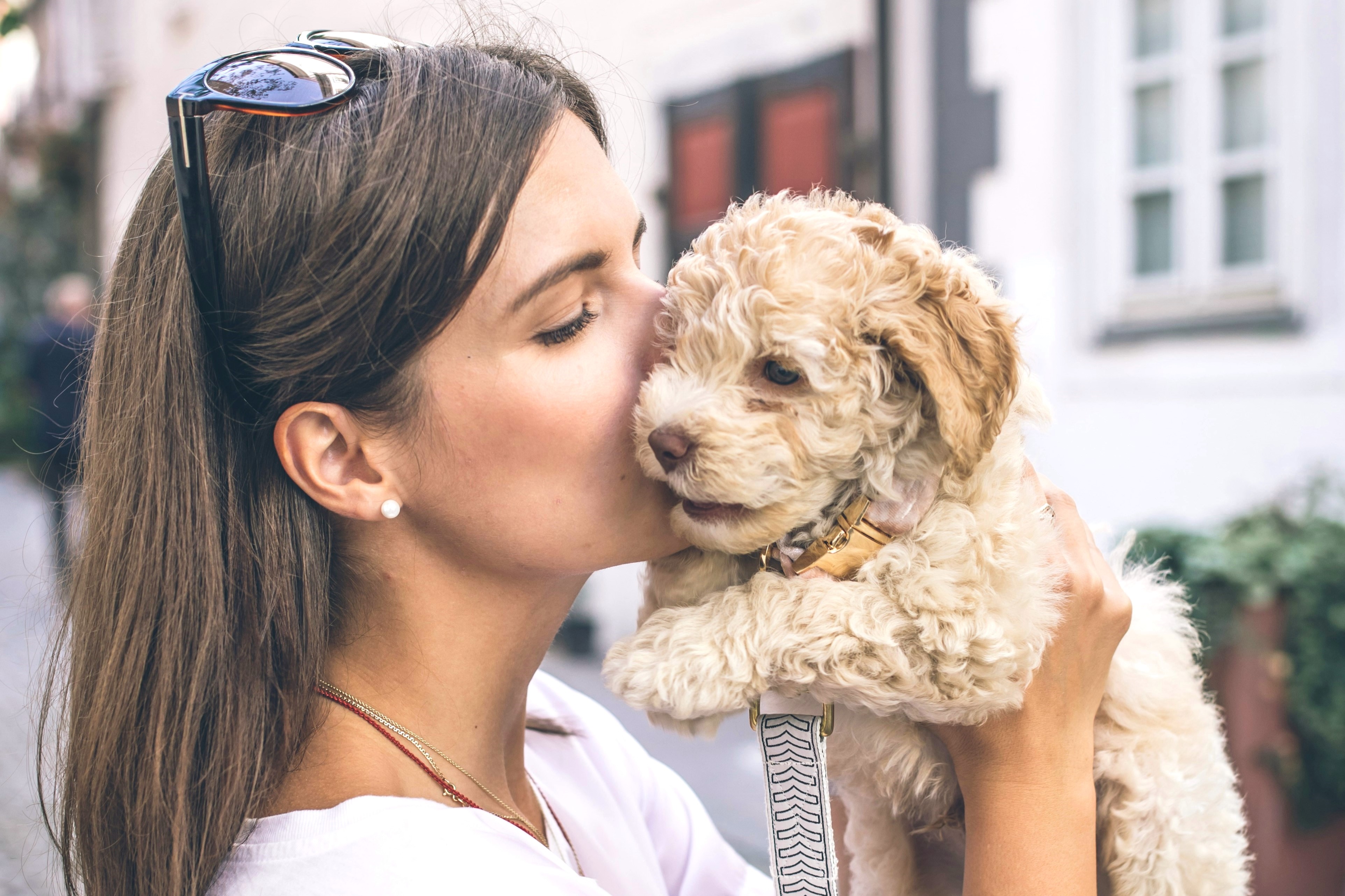 goldendoodle-with-owner-2-3.jpg
