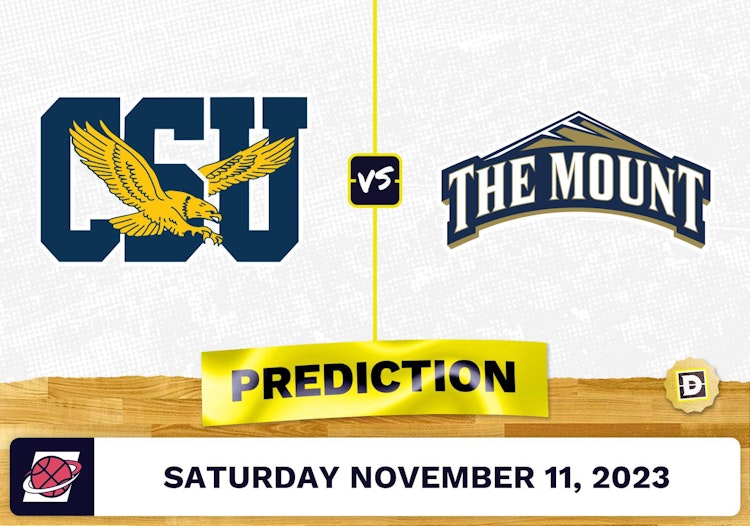 Coppin State vs. Mount St. Mary's Basketball Prediction - November 11, 2023