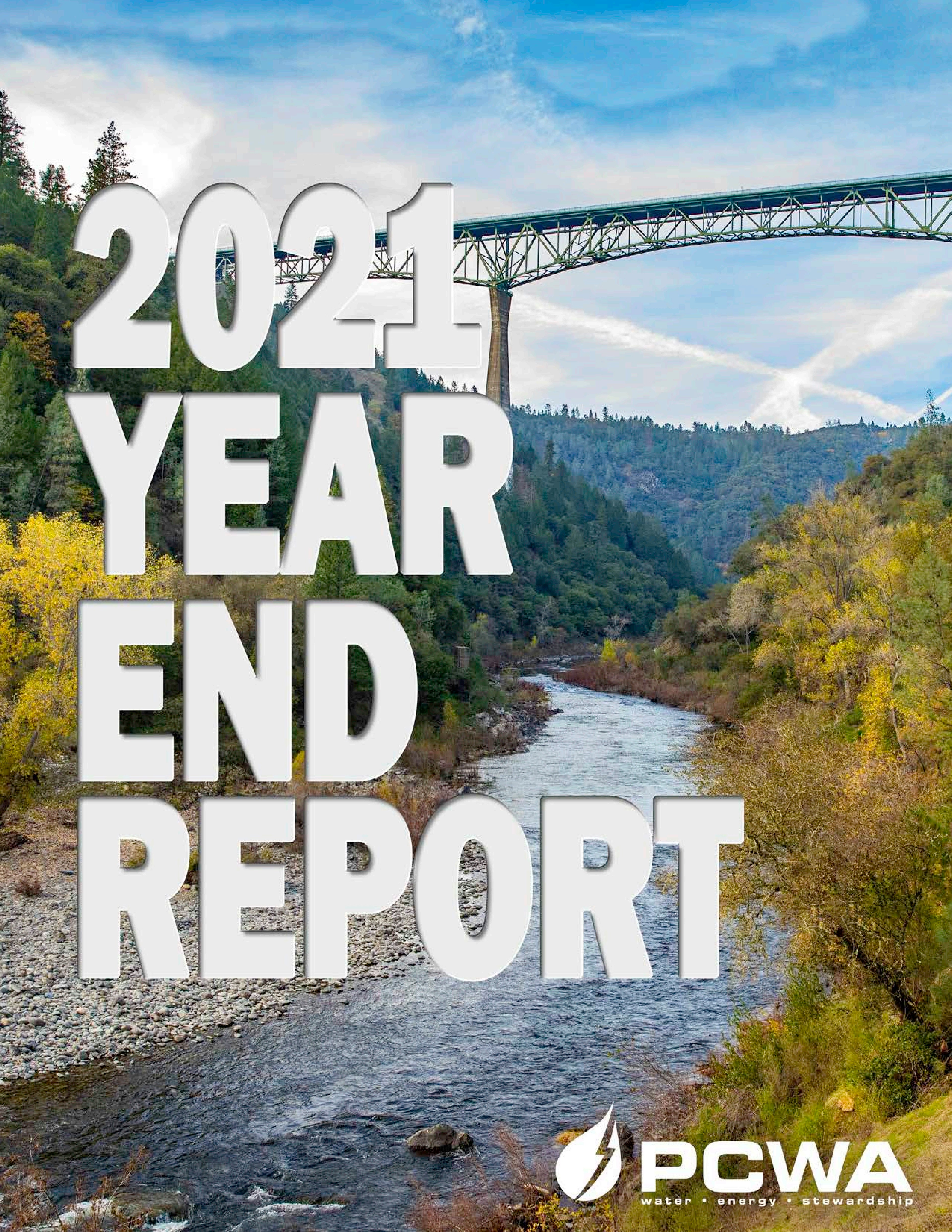 Thumbnail image and link for 2021 Year End Report publication