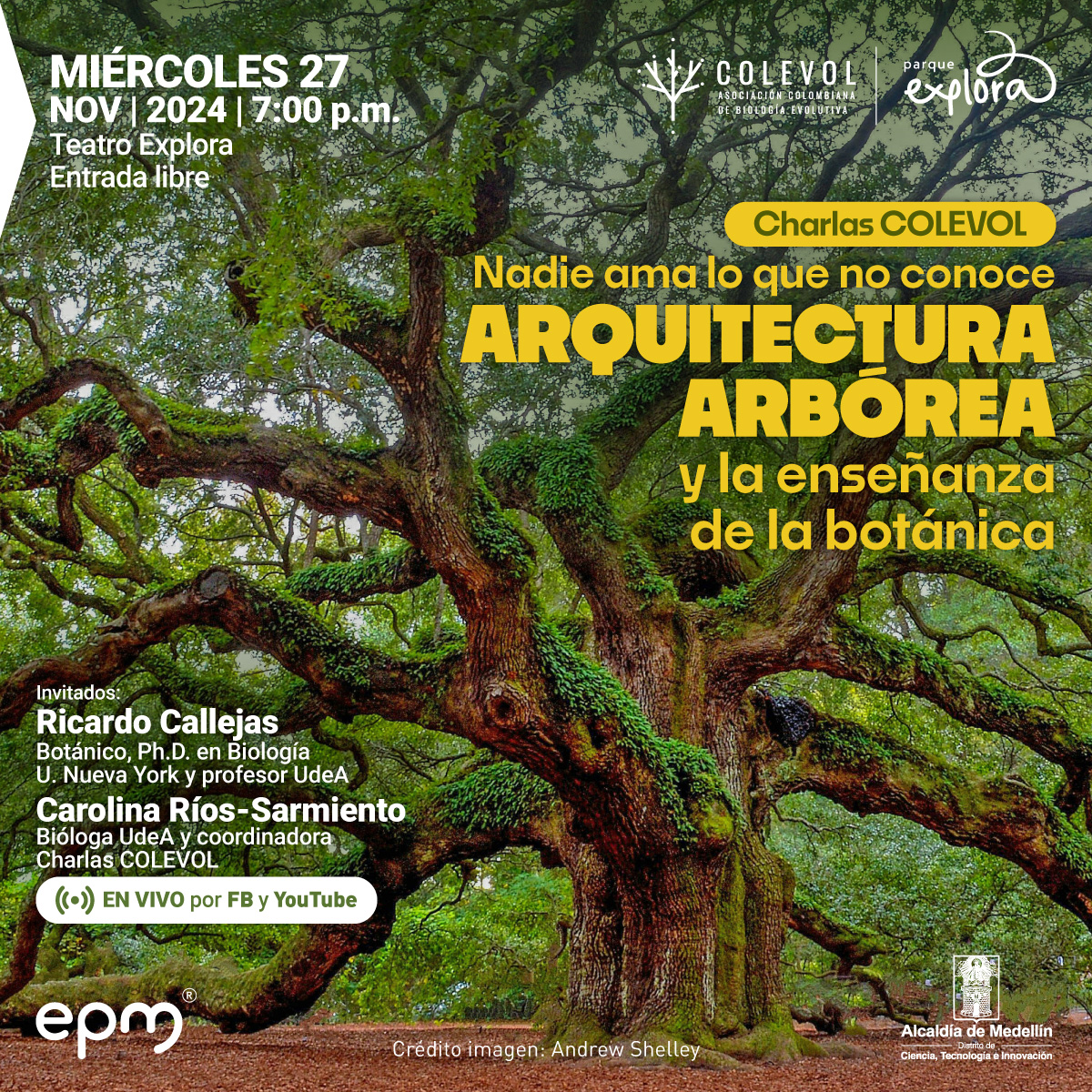 Fotografía. En un bosque verde se ve desde el centro un tronco grueso que se ramifica hacia los lados. Sobre la imagen un texto: "Nadie ama lo que no conoce.Arquitectura arbórea y la enseñanza de la botánica. Miércoles 27 de noviembre de 2024, 7 de la noche. Invitado: Ricardo Callejas Posada, biólogo con posdoctorado en Botánica de la Universidad de Nueva York, profesor U. de A. y Carolina Ríos Sarmiento, bióloga U. de A., coordinadora Charlas Colevol. Teatro Explora, entrada libre. Transmisión por Youtube y Facebook"