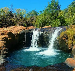 Savanna-Chapada dos Veadeiros- Webinar's gallery image