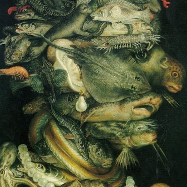 Art, Nature: Arcimboldo, a European Master's main gallery image