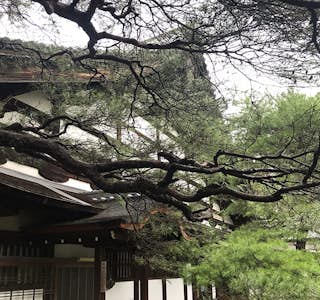 Hidden Zen Garden Immersion's gallery image