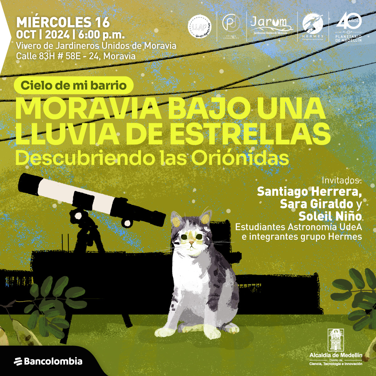 Ilustración. Sobre un fondo amarillo verdoso, se ve la silueta negra de unos edificios y cables de luz, y al frente, un gato blanco con manchas grises está sentado, mirando de frente, a su lado hay un telescopio blanco y negro apuntando hacia la izquierda. En la parte superior un texto: "Cielo de mi barrio. Moravia bajo una lluvia de estrellas. Descubriendo las oriónidas. Invitados. Santiago Herrera, Sara Giraldo y Soleil Niño, integrantes del grupo Hermes de divulgación. Miércoles 16 de octubre de 2024 a las 6 de la tarde. Vivero Jardineros Unidos de Moravia".