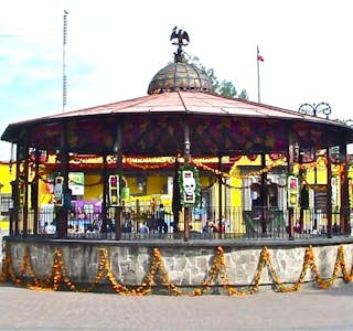 Tales of Mexico While Sightseeing in Coyoacan's gallery image