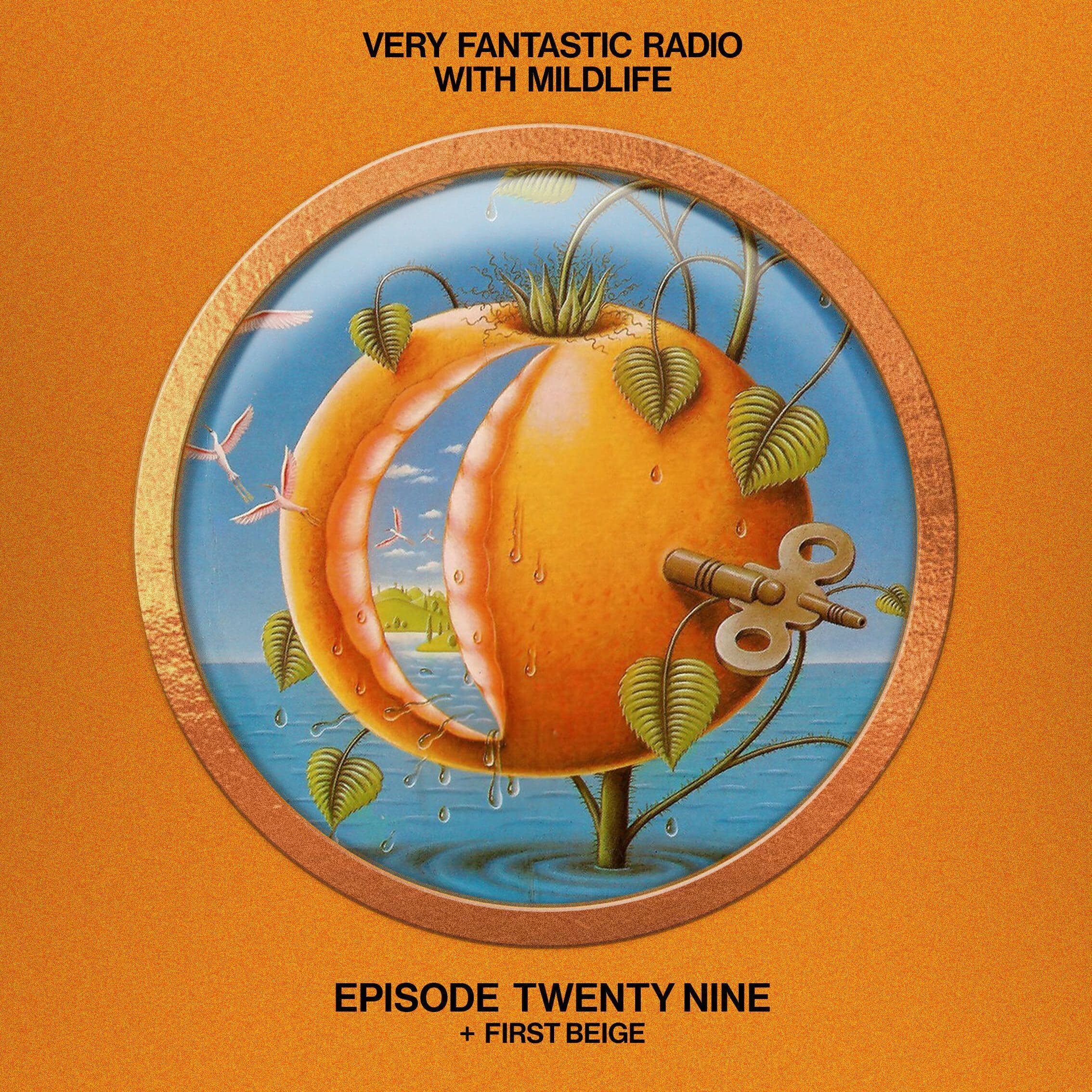 Very Fantastic Radio: Mildlife