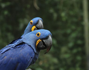 Image 4 of 6