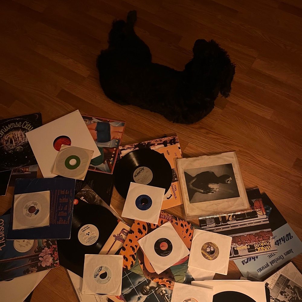 SHUSH curates: Inés