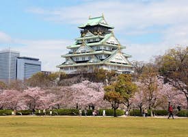 Osaka Castle Grounds Walk-a-bout and History Tour's thumbnail image