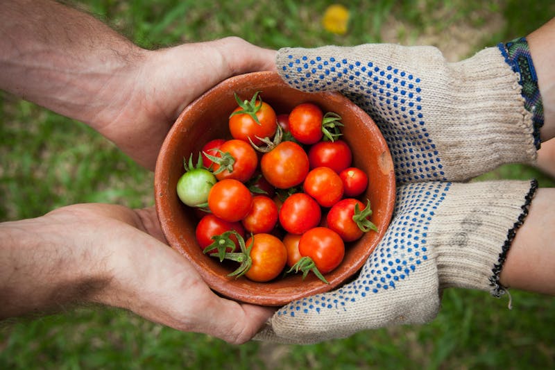 Why Local Food Systems Matter (and How We All Benefit)