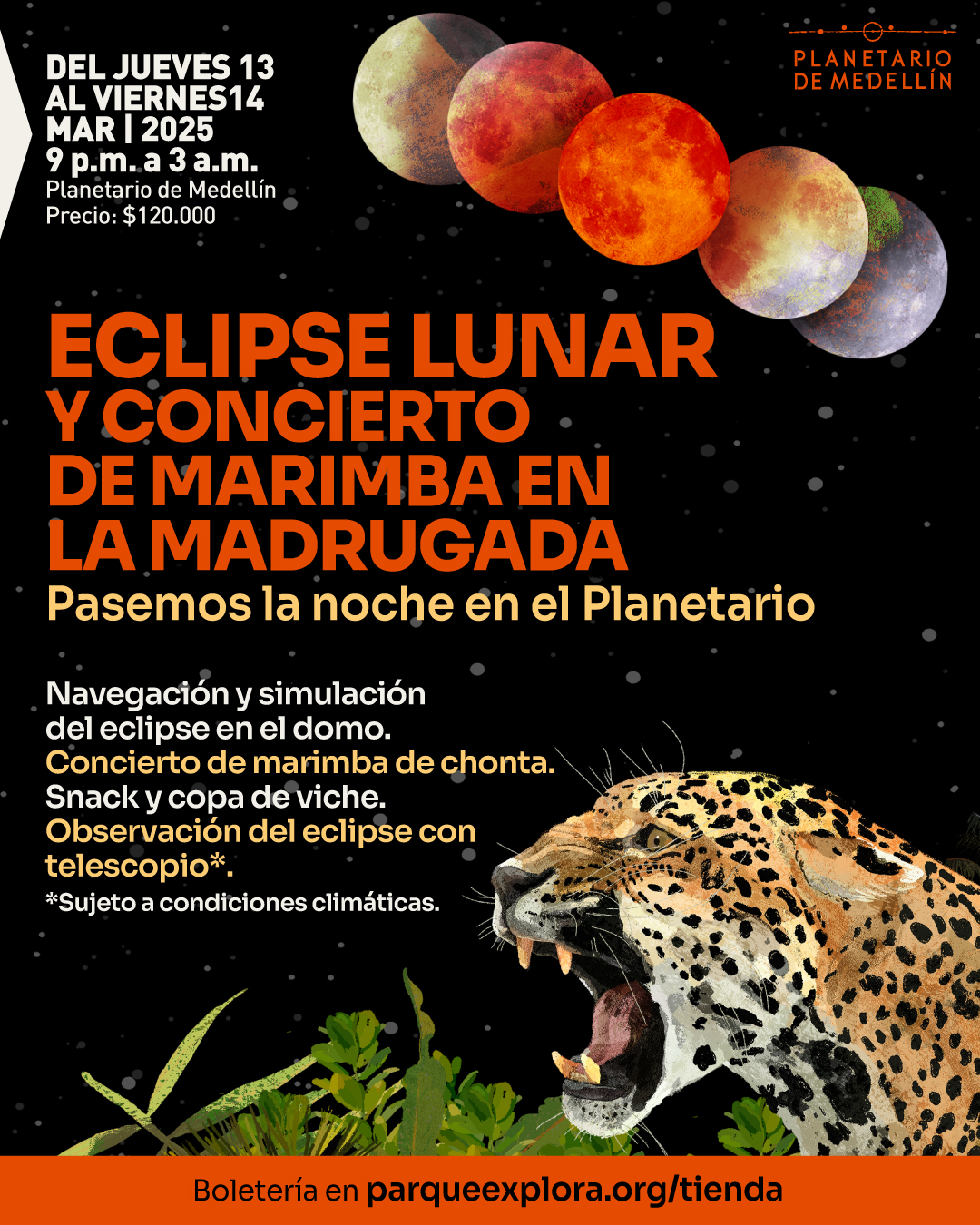 Ilustración. Sobre un fondo negro con pequeños puntos blancos que simulan estrellas, en la parte superior se representa la secuencia de un eclipse lunar con seis fases de la Luna, desde una fase clara hasta una completamente roja. En la parte inferior derecha, una ilustración de un jaguar con la boca abierta. En el centro, un texto que dice: «Del jueves 13 al viernes 14 de marzo de 2025, de nueve de la noche a tres de la madrugada. Planetario de Medellín. Precio: ciento veinte mil pesos». Debajo, en letras grandes: «Eclipse lunar y concierto de marimba en la madrugada». Más abajo: «Pasemos la noche en el Planetario». Luego, una lista con los elementos del evento: «Navegación y simulación del eclipse en el domo. Concierto de marimba de chonta. Snack y copa de viche. Observación del eclipse con telescopio*». Al final: «*Sujeto a condiciones climáticas». En la parte inferior, un recuadro con el texto: «Boletería en parqueexplora.org/tienda».