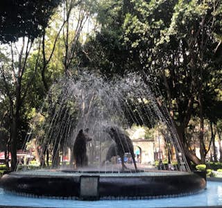 Tales of Mexico While Sightseeing in Coyoacan's gallery image