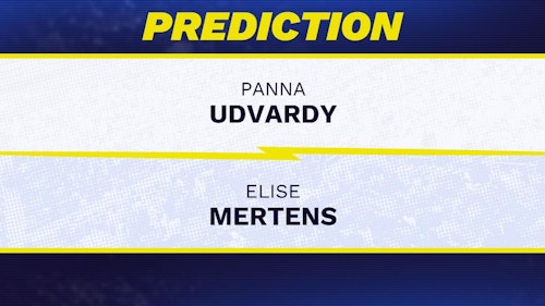 Panna Udvardy vs. Elise Mertens prediction, odds, picks for WTA Italian Open 2026