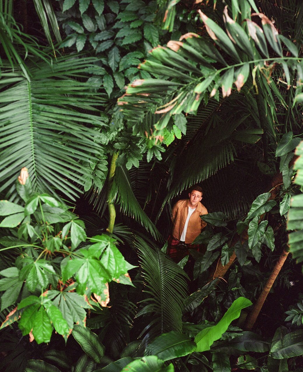 A Trip Through The Forest: Wallace