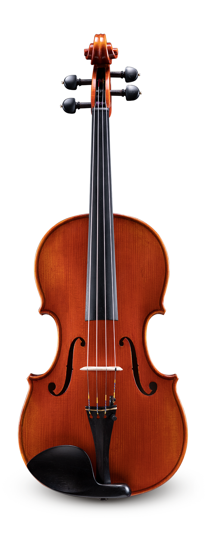 Eastman Viola VA500