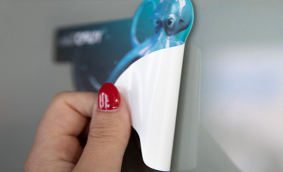 vinyle adhésif repositionnable