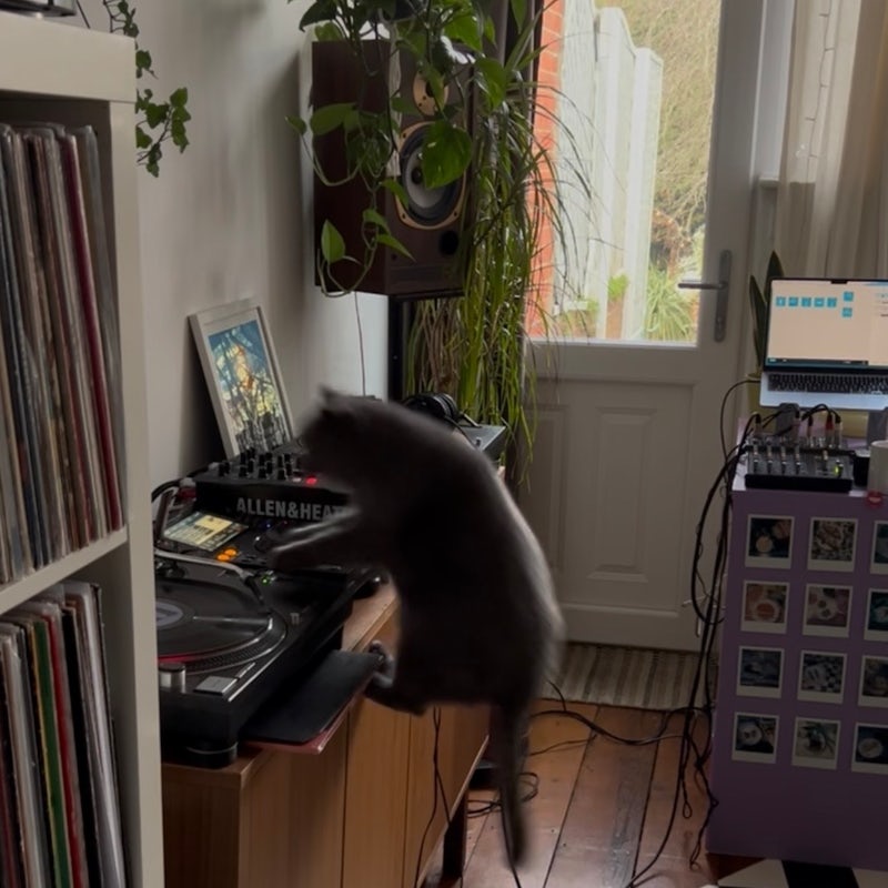 Worldwide Breakfast: Valentine Comar