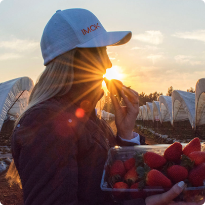 Women eating strawberry in field