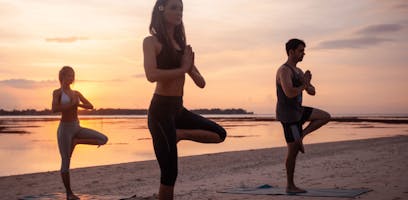 What to Expect from a Wellness tour