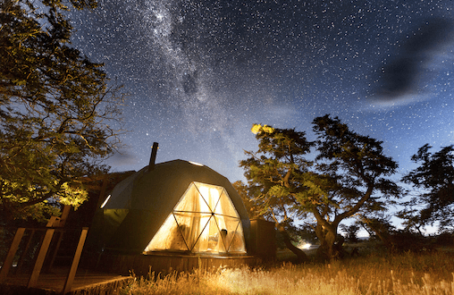 How to spend Earth Hour